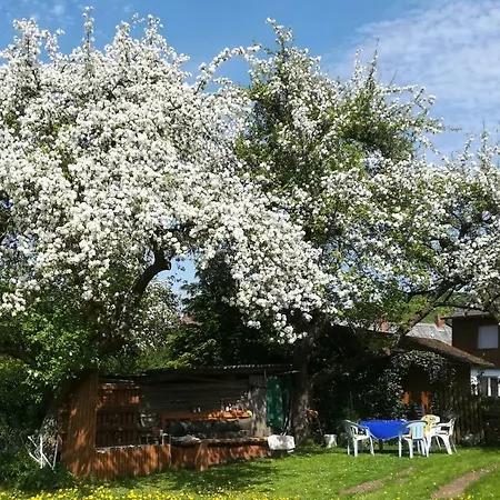 Daire Ferienwohnung In Der Rhon Gotthards